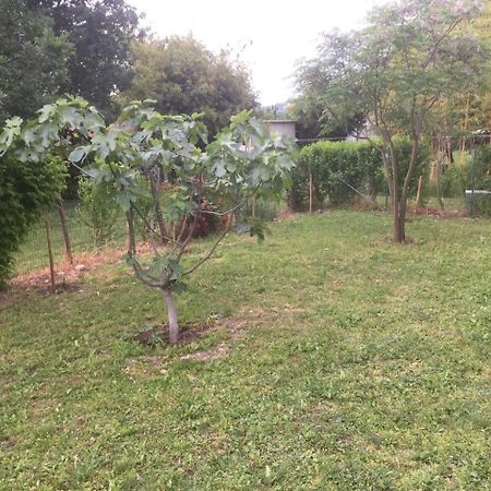 B&B San Giorgio Traversetolo Dış mekan fotoğraf