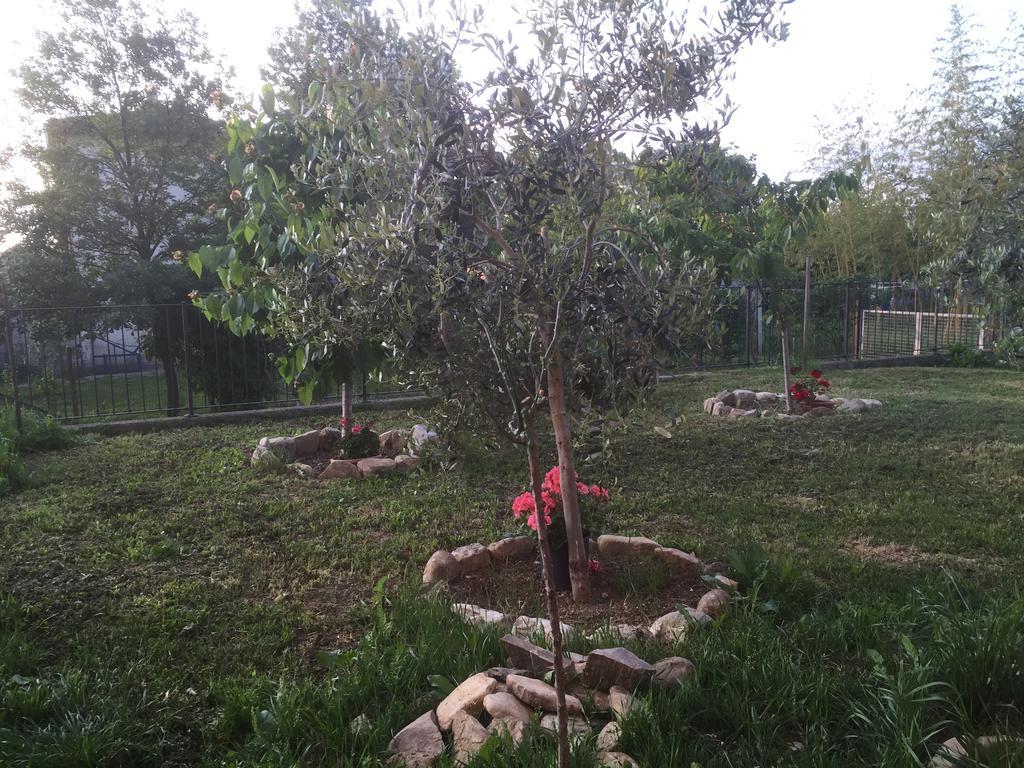 B&B San Giorgio Traversetolo Dış mekan fotoğraf