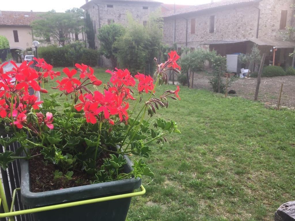B&B San Giorgio Traversetolo Dış mekan fotoğraf