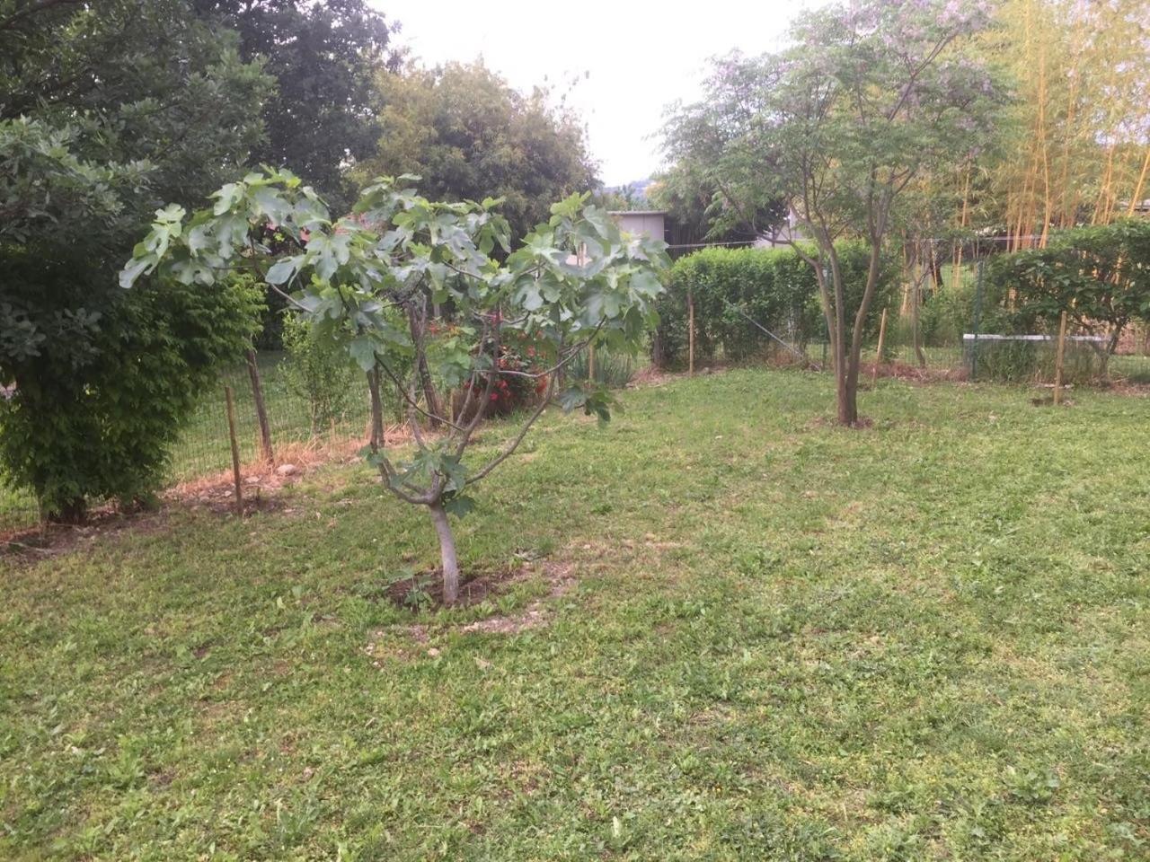 B&B San Giorgio Traversetolo Dış mekan fotoğraf